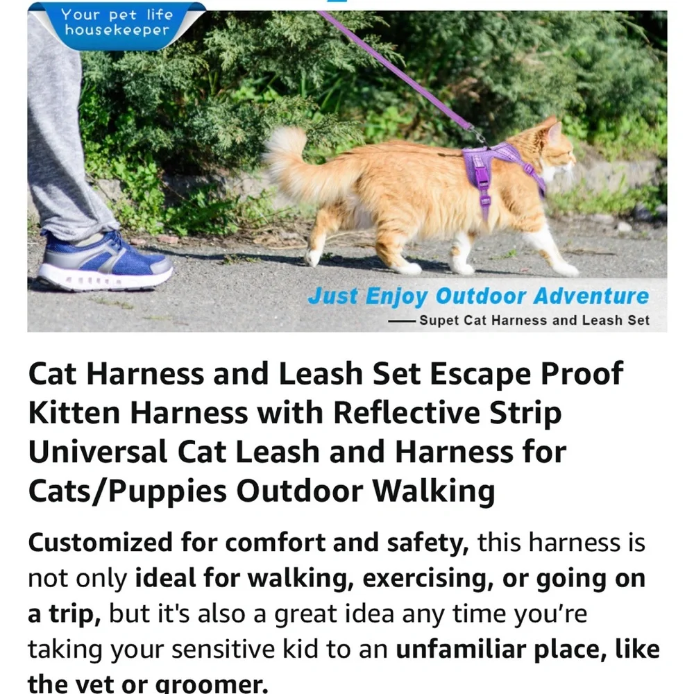 NWOT Black Size Small Cat or Puppy Harness & Leash Set